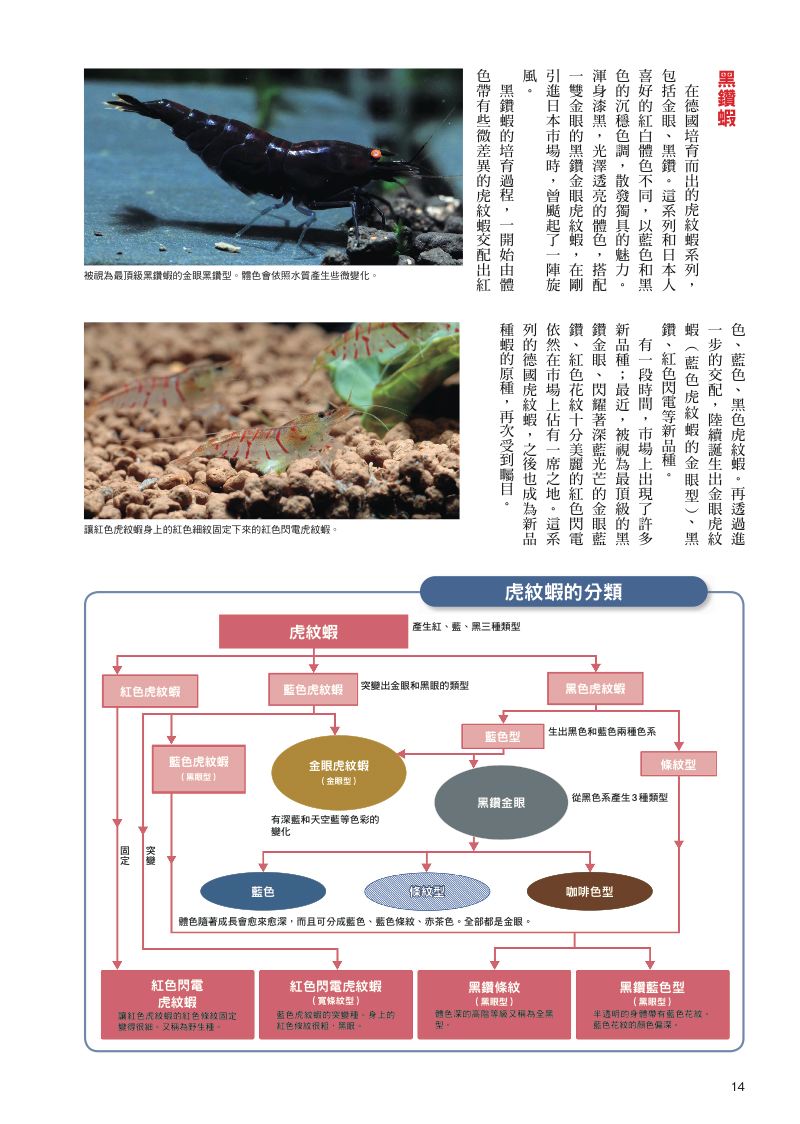 內頁 6