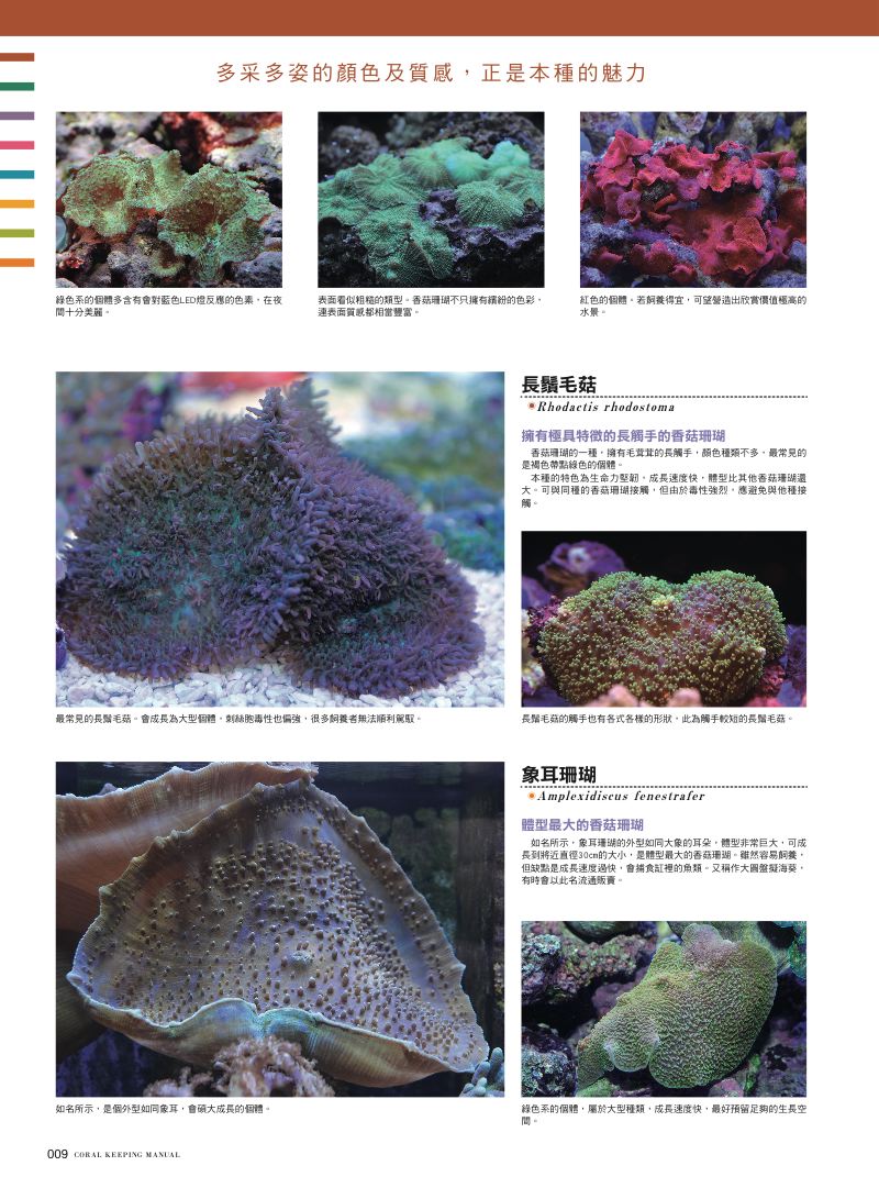 內頁 3