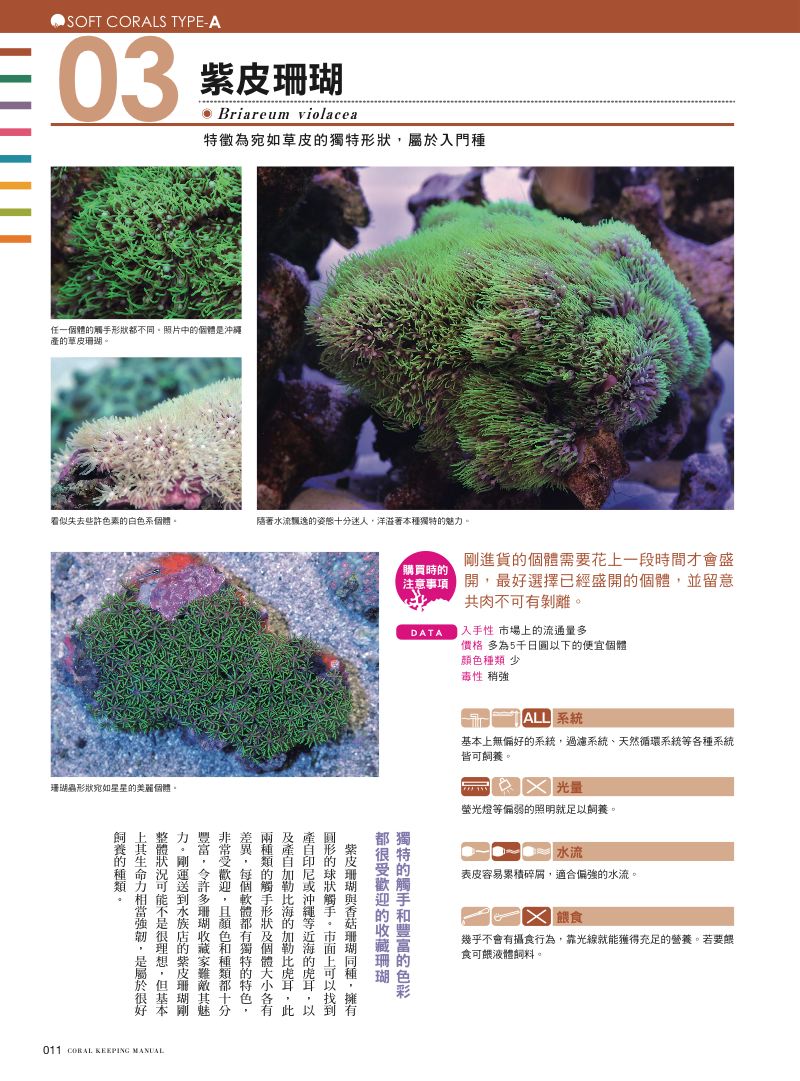 內頁 5