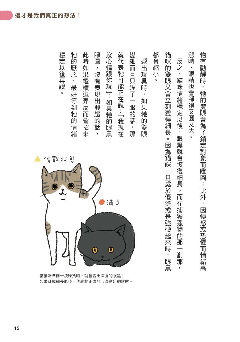內頁 5
