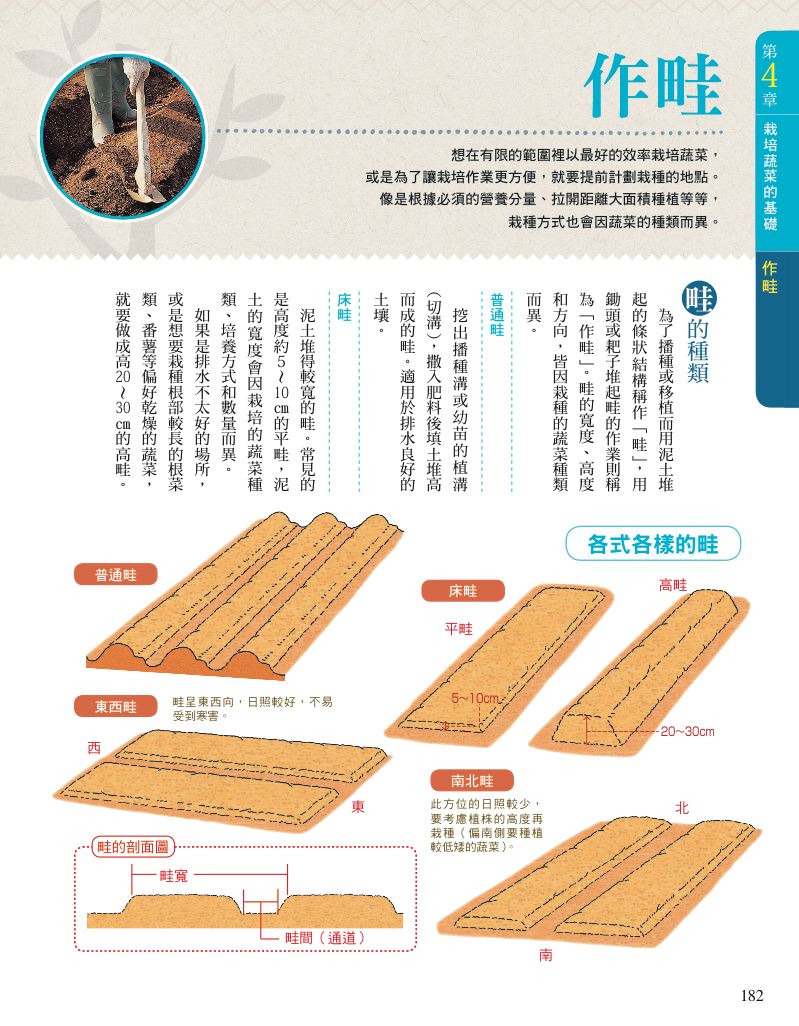 內頁 10