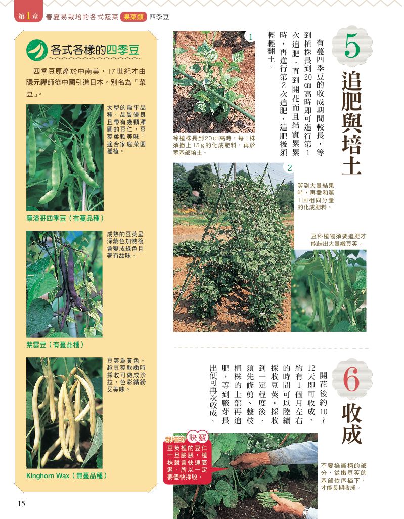 內頁 5