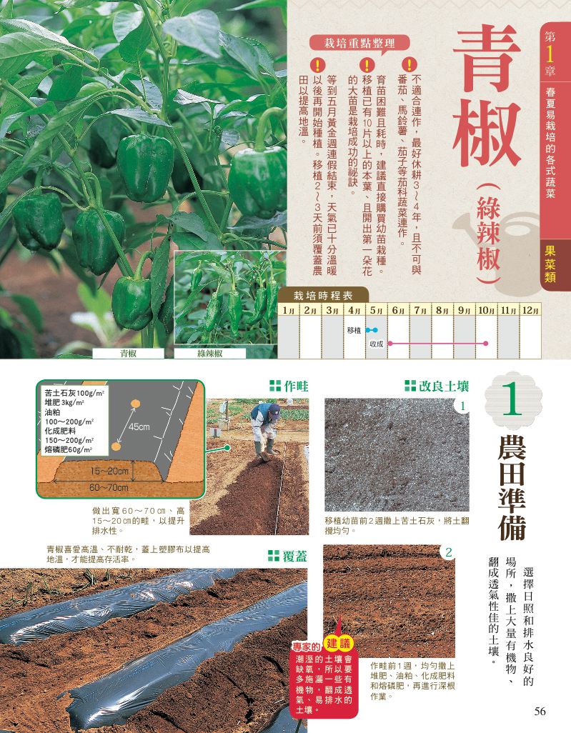 內頁 6