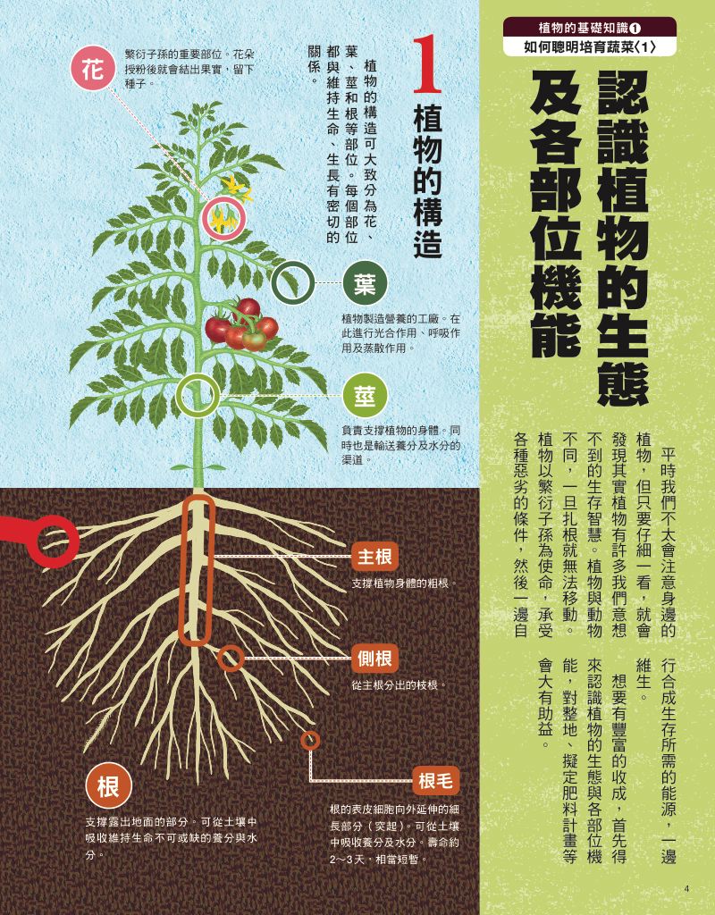 內頁 2