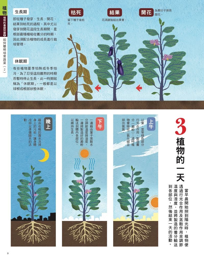 內頁 4