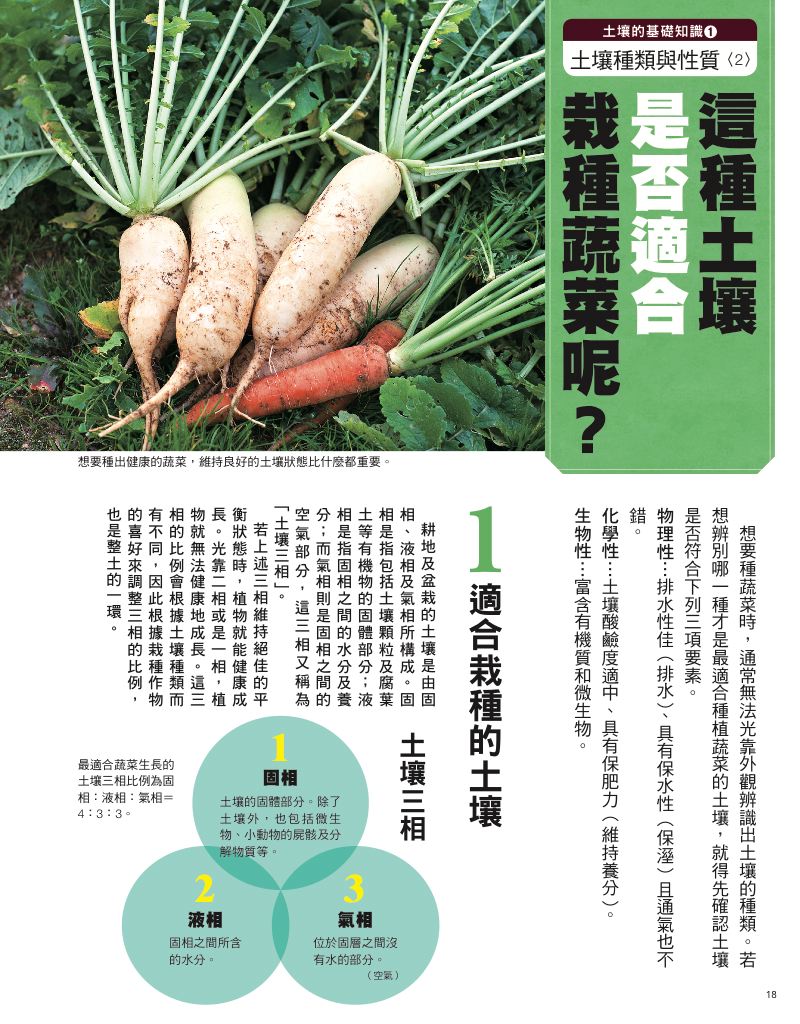 內頁 5