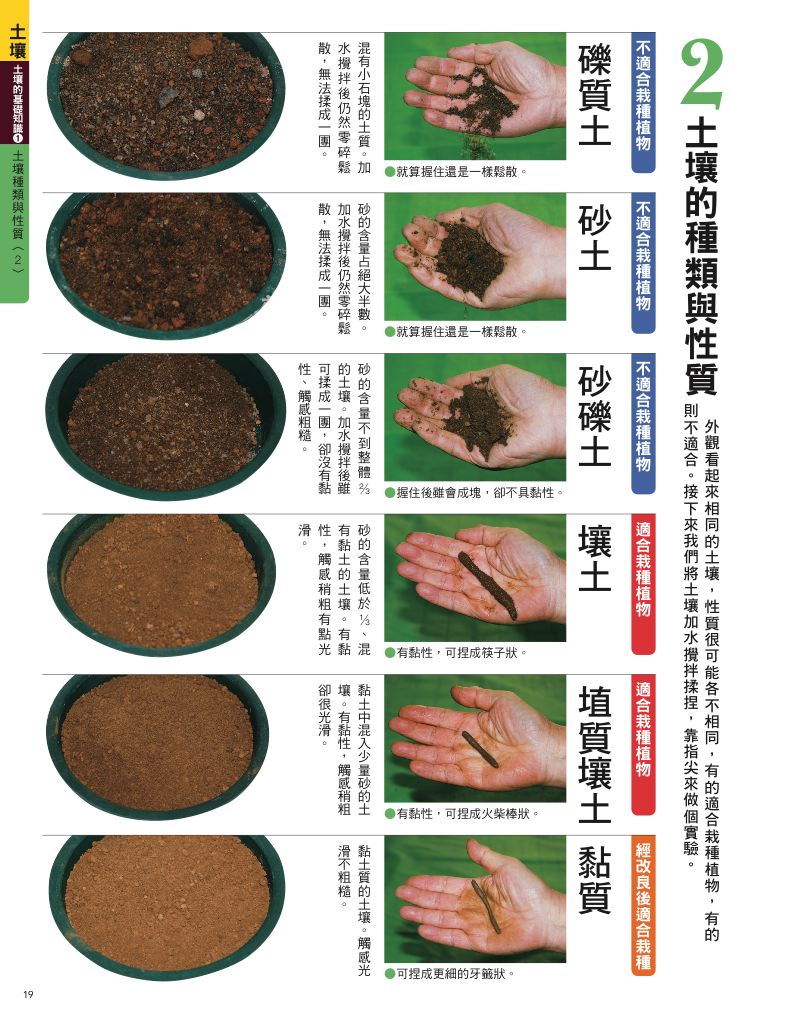 內頁 6