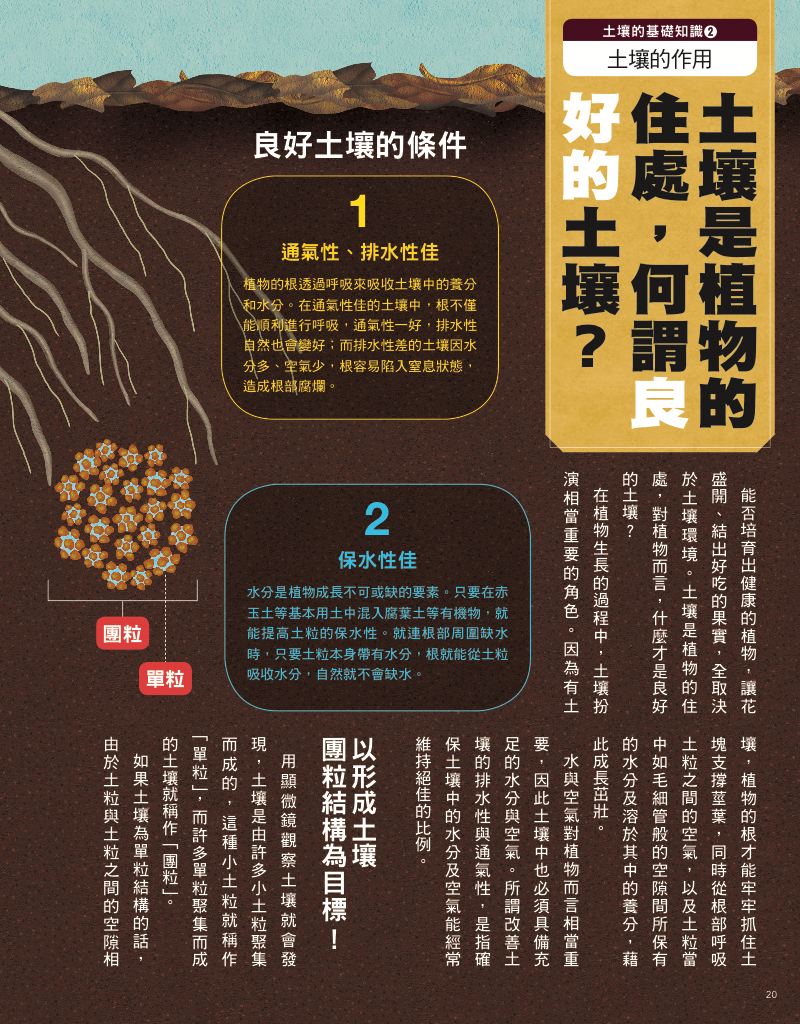 內頁 7