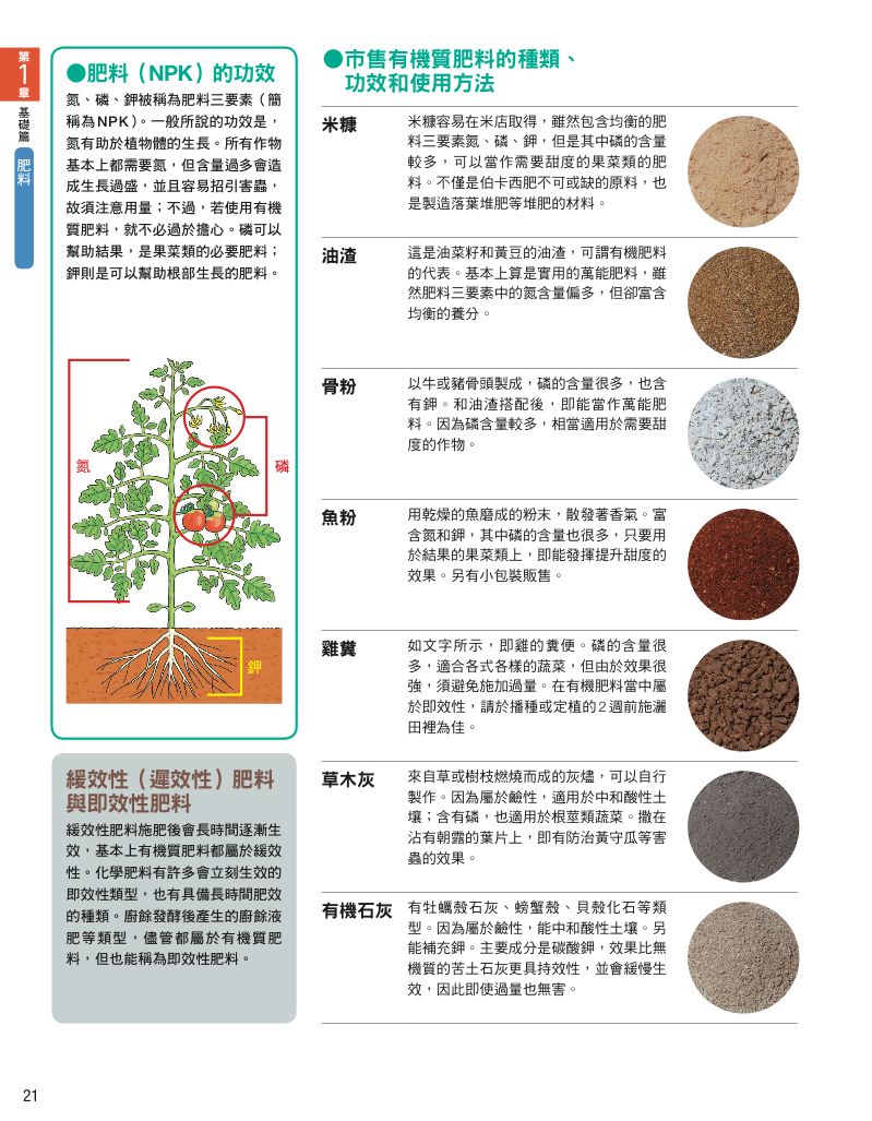 內頁 10