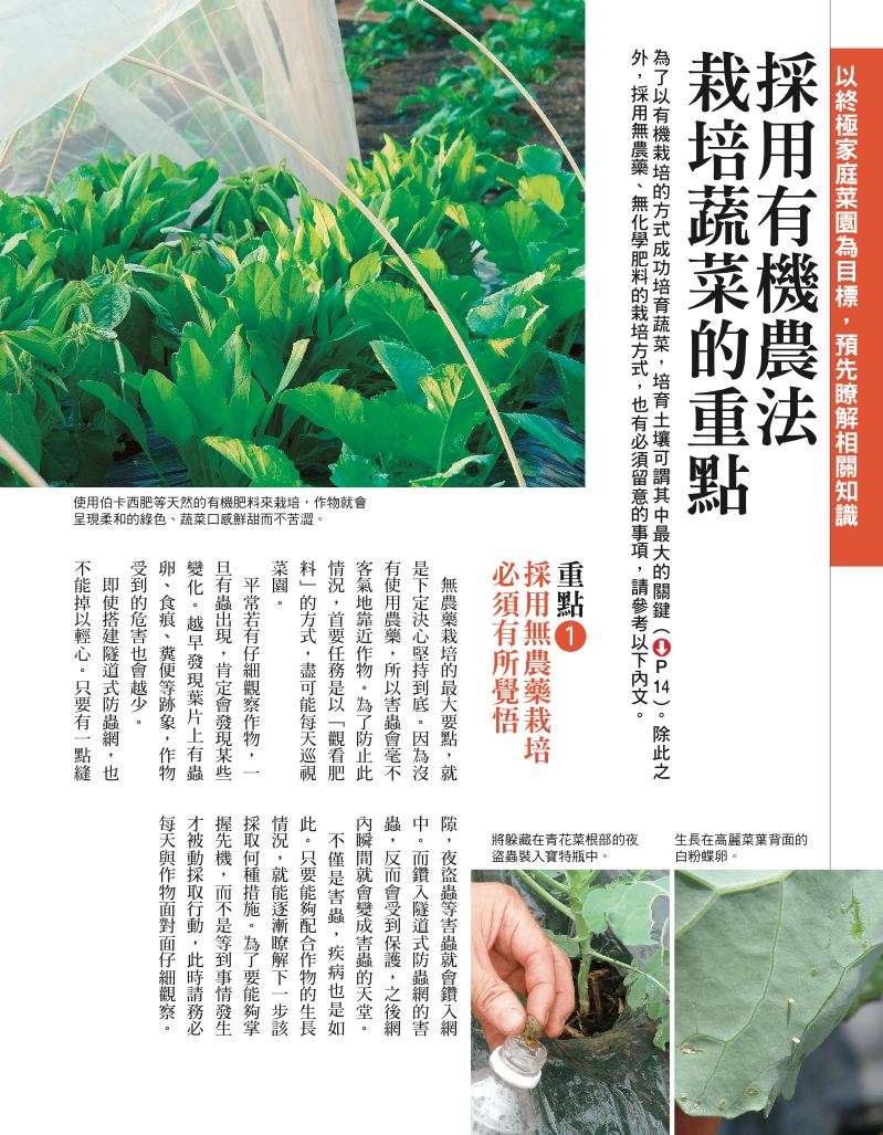 內頁 2