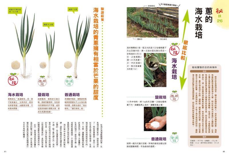 內頁 10