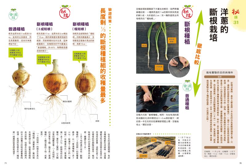 內頁 11