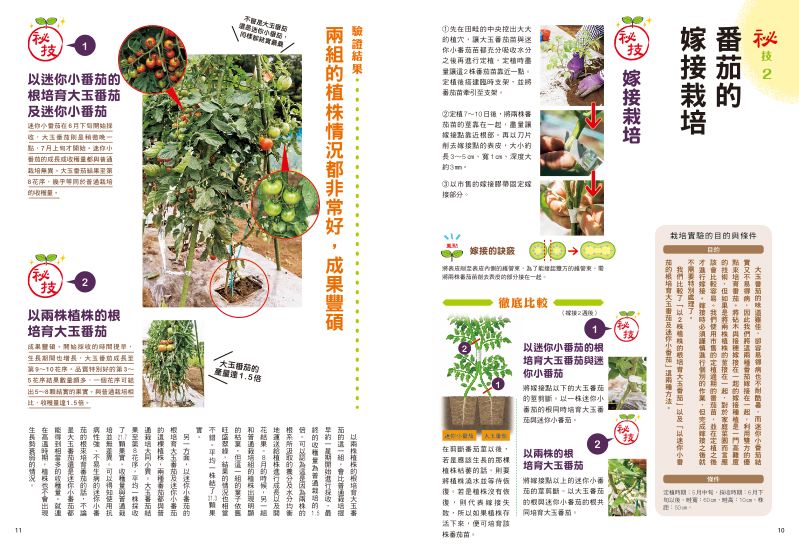 內頁 3