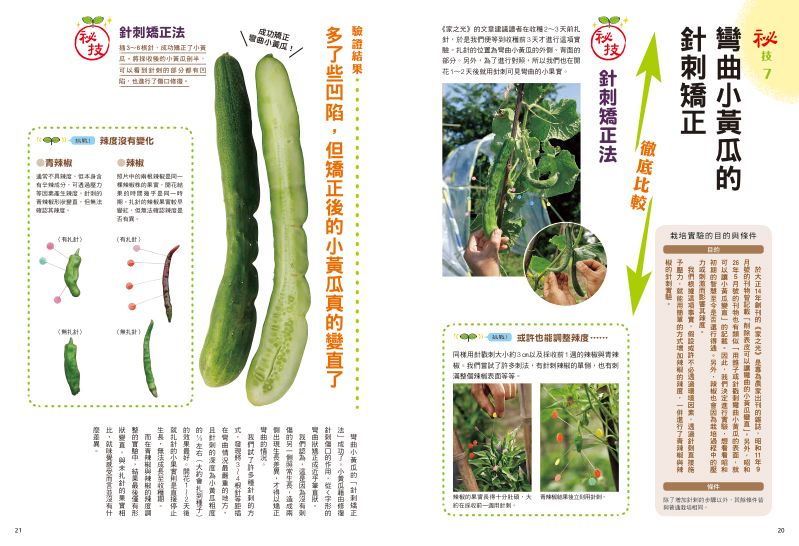 內頁 5
