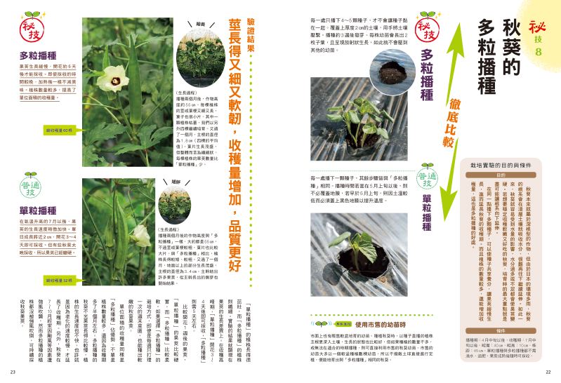內頁 6