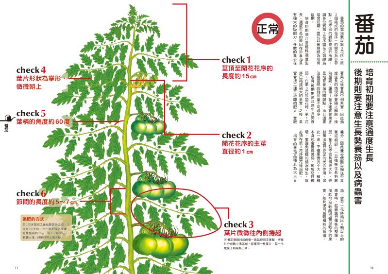 內頁 2