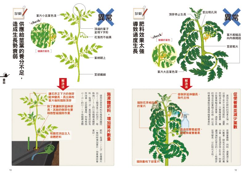 內頁 3