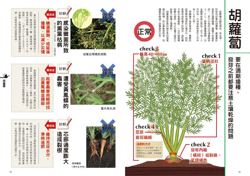 內頁 6