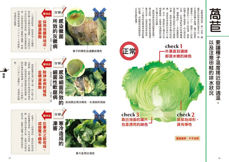 內頁 8
