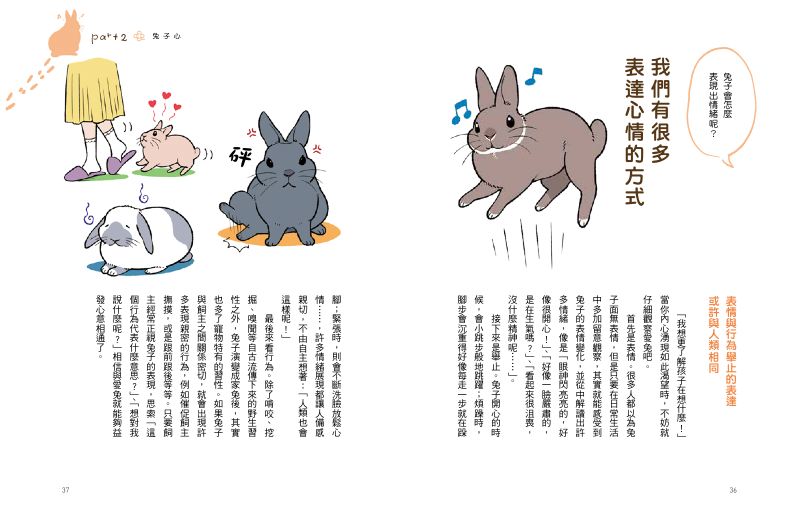 內頁 6