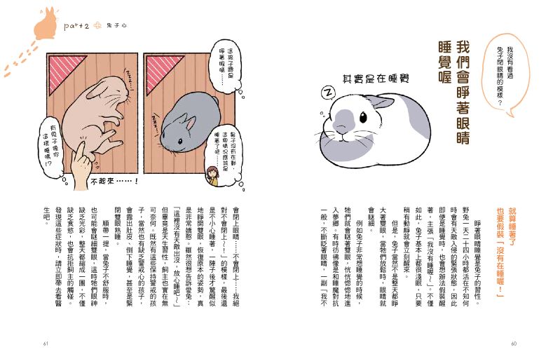 內頁 7