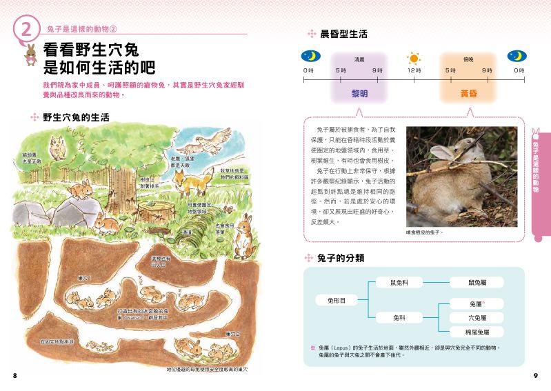內頁 2