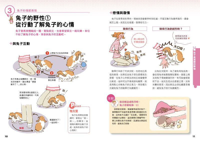內頁 3