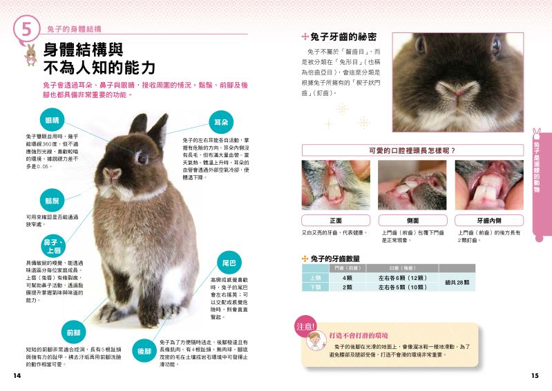 內頁 4