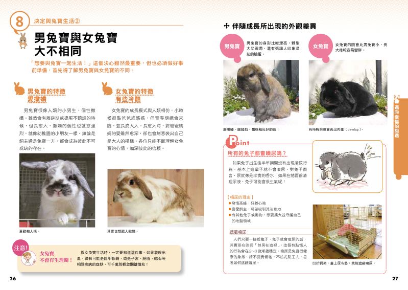 內頁 6