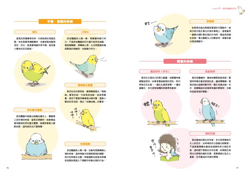 內頁 7