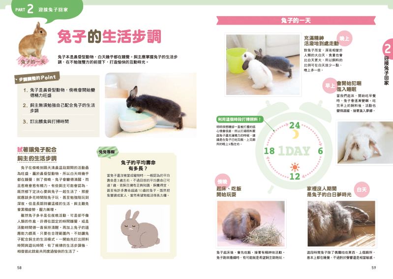 內頁 3