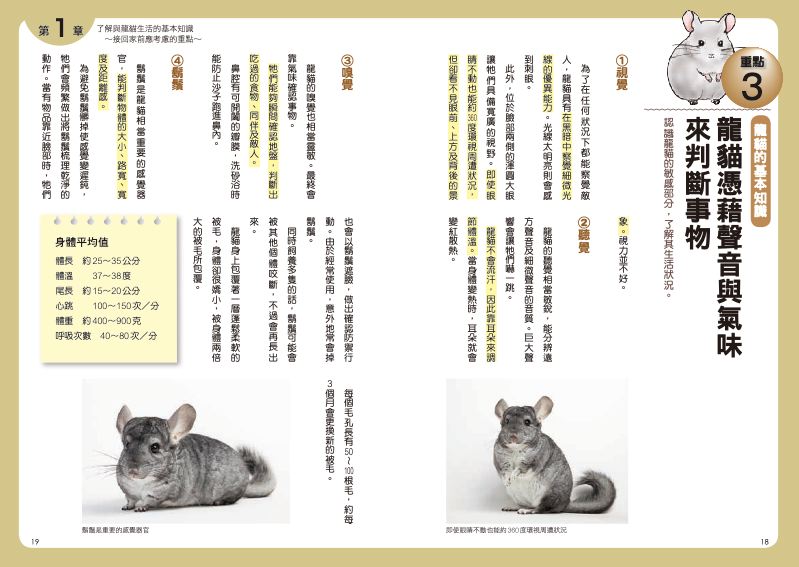 內頁 2
