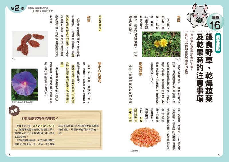 內頁 6