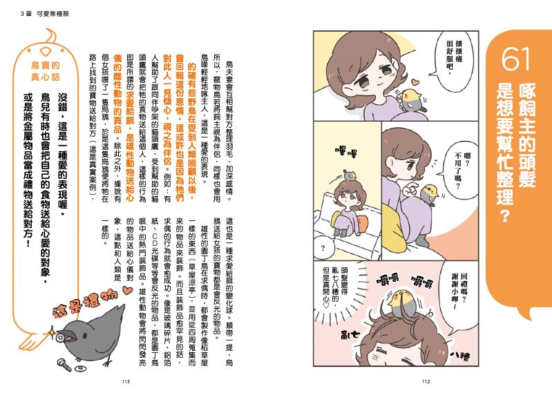 內頁 11