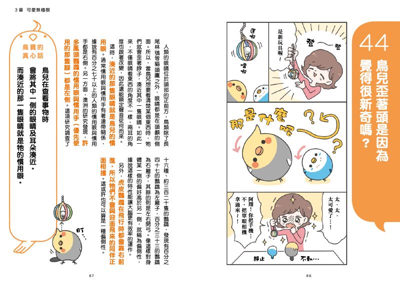 內頁 8