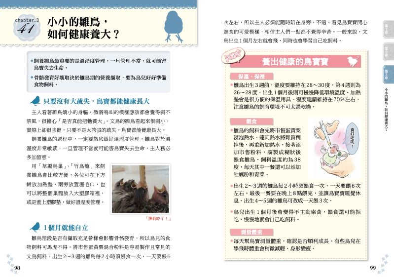 內頁 11