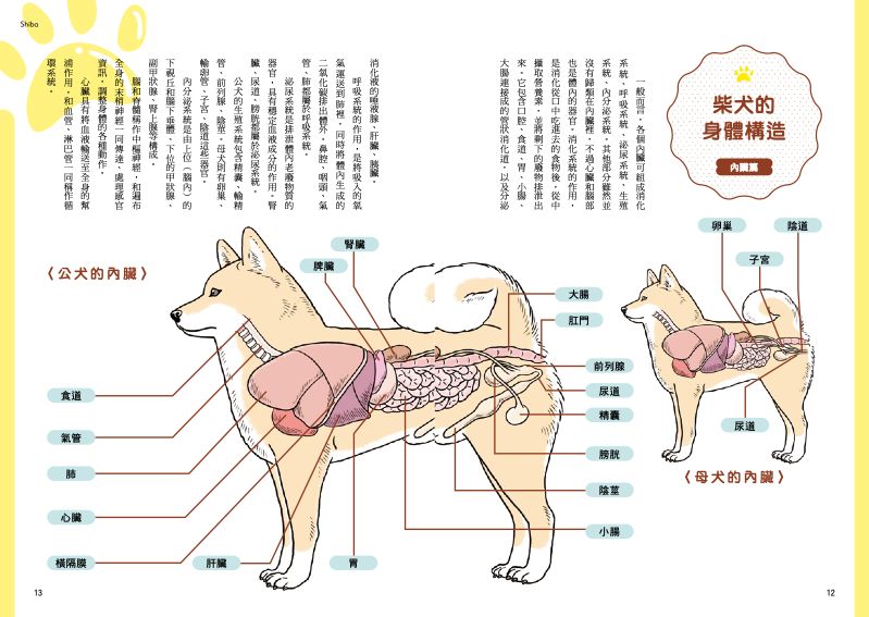 內頁 2