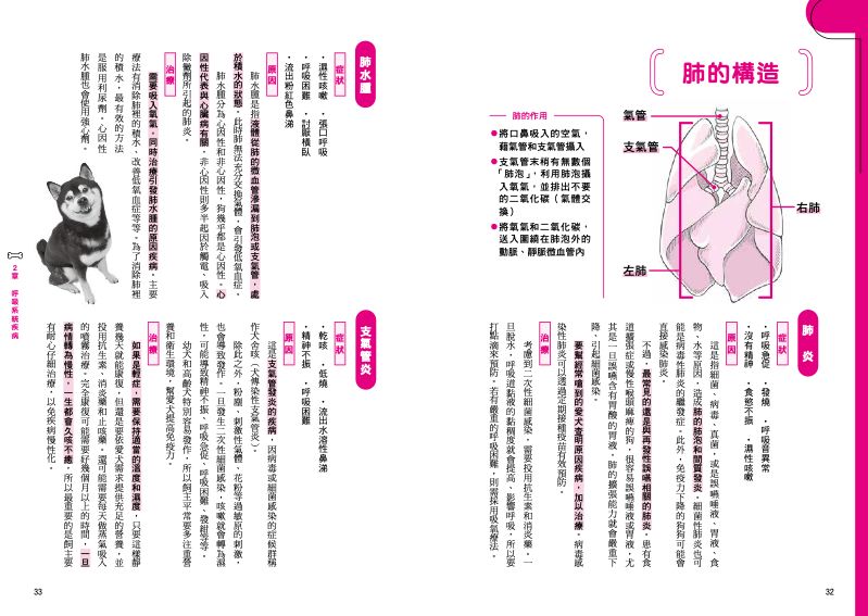 內頁 5