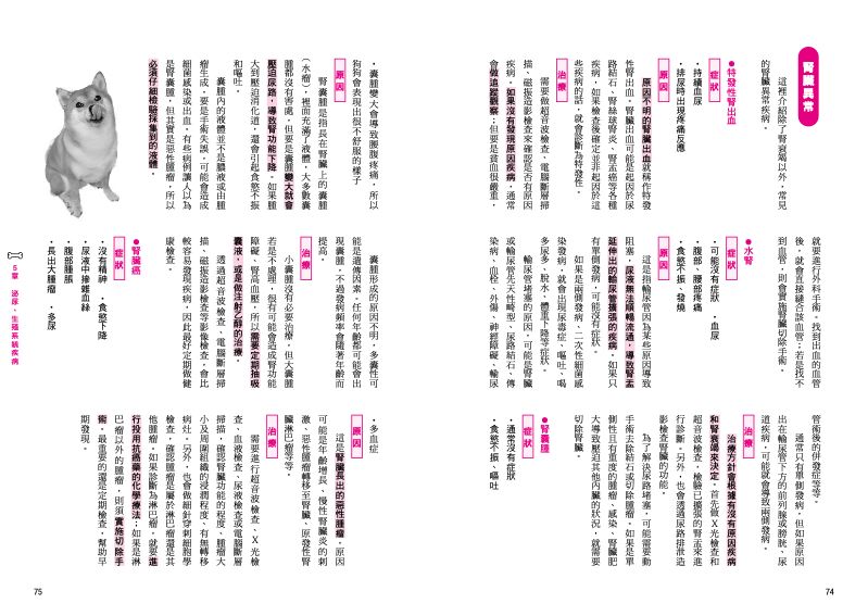 內頁 7