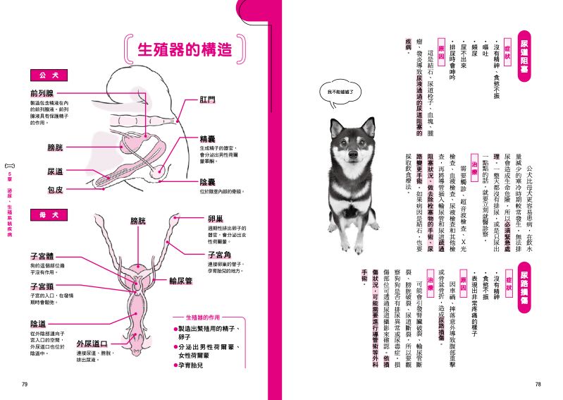 內頁 9
