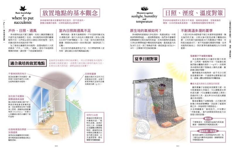 內頁 3