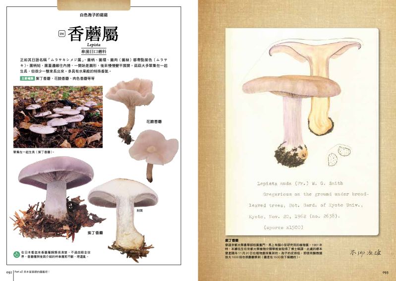 內頁 8
