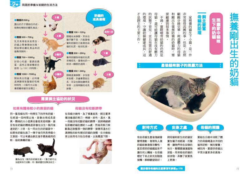 內頁 10