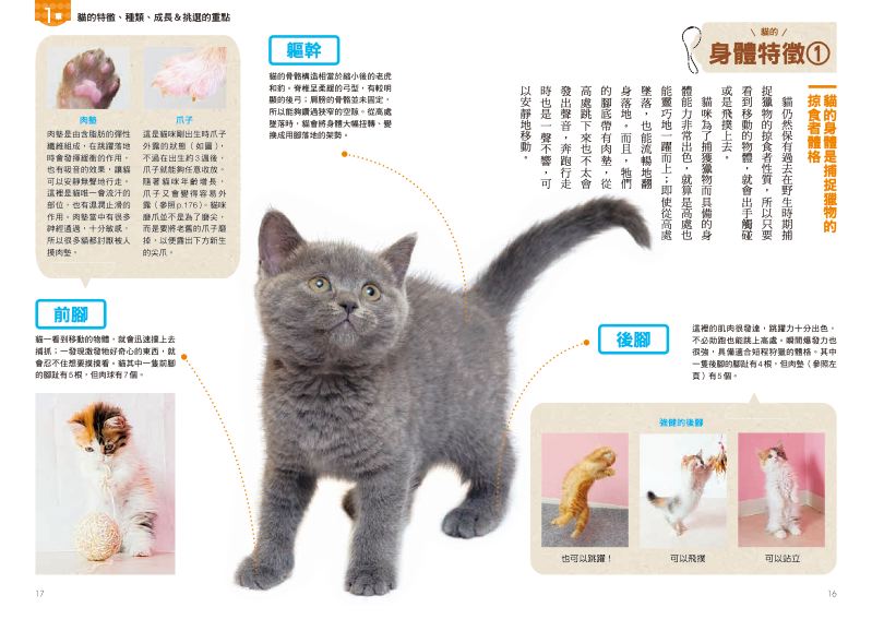內頁 2