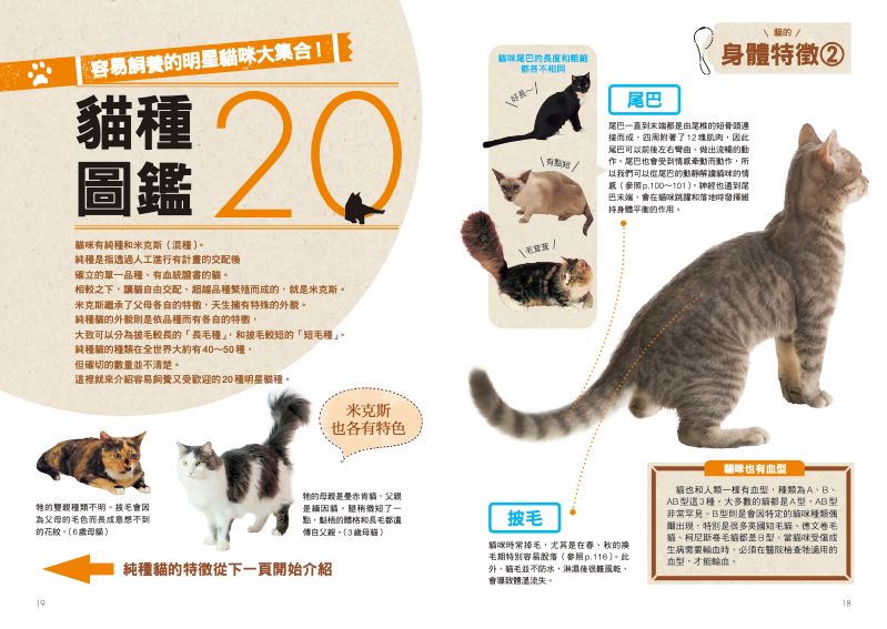 內頁 3