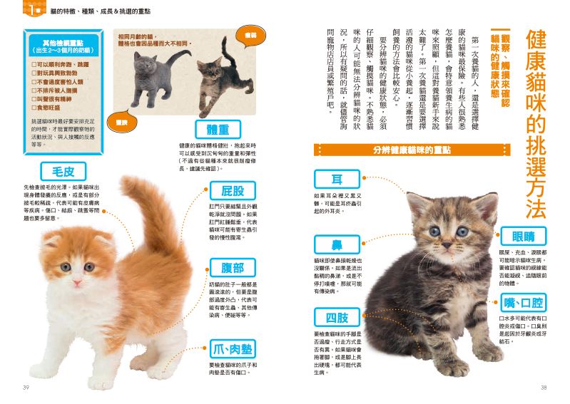 內頁 6
