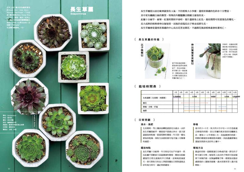內頁 8