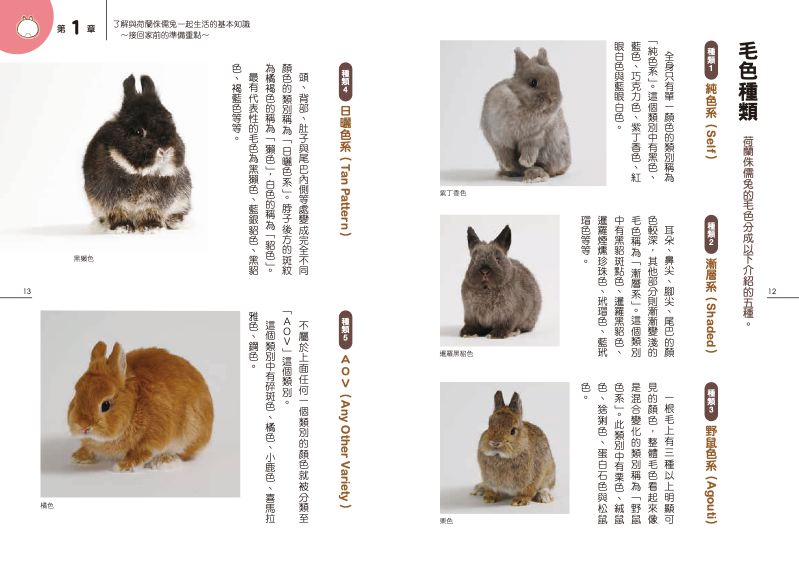 內頁 3