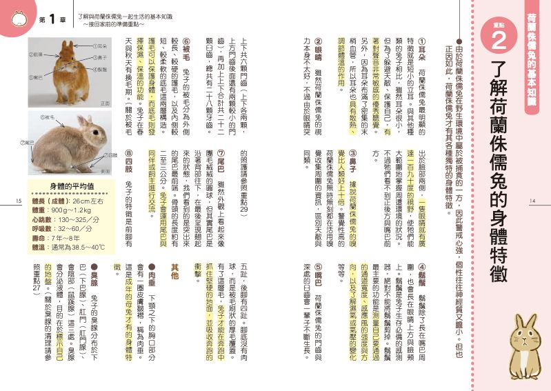 內頁 4