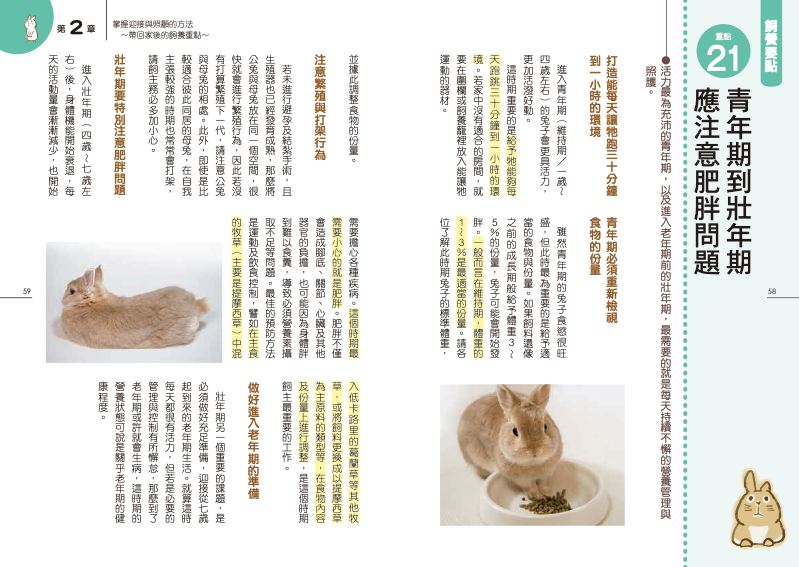 內頁 6